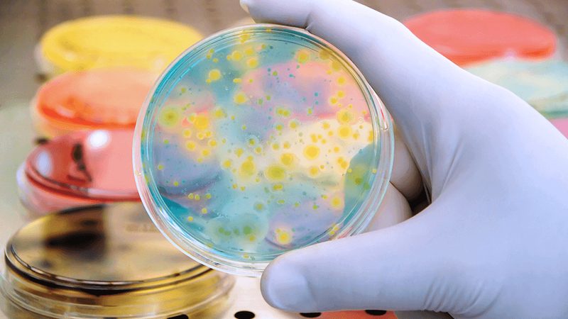 上海生物医药CDMO平台：揭秘其核心优势与选择要点