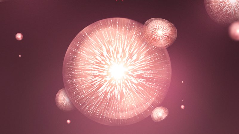 北京分子生物学试剂：揭秘其背后的研发与质量控制**