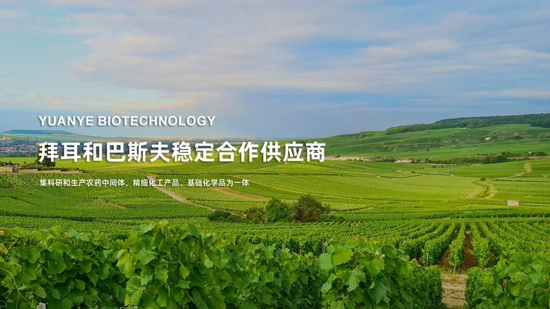 CDMO技术平台资质参数揭秘：揭秘制药企业的“幕后英雄