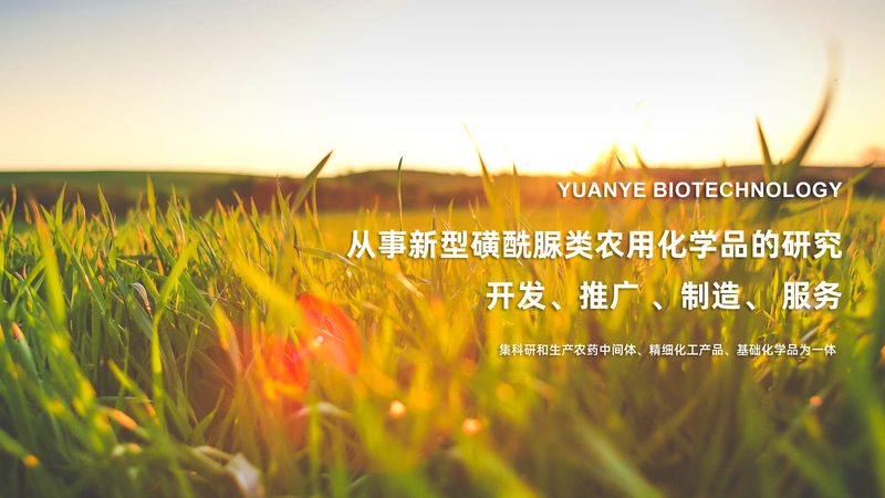 细菌培养基：如何选择合适的品牌？**