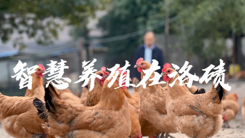 肿瘤基因测序注意事项：精准医疗的"双刃剑